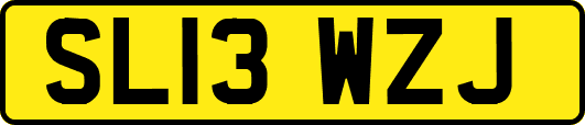 SL13WZJ