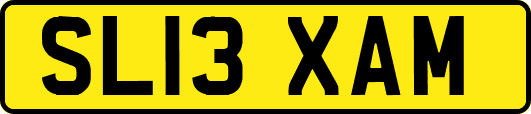 SL13XAM