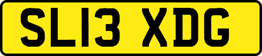 SL13XDG