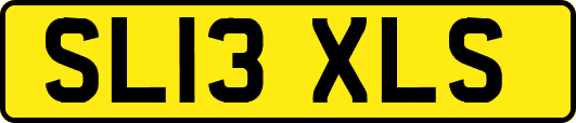 SL13XLS