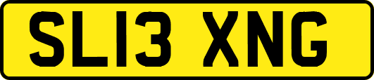 SL13XNG