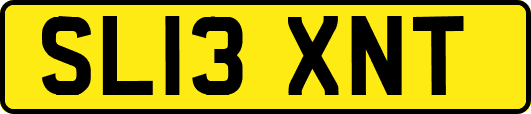 SL13XNT