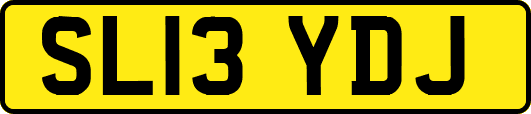SL13YDJ