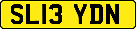 SL13YDN