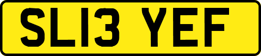 SL13YEF