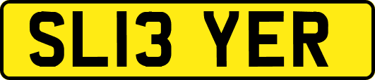 SL13YER