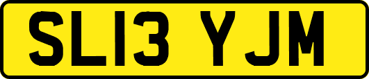 SL13YJM