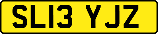 SL13YJZ