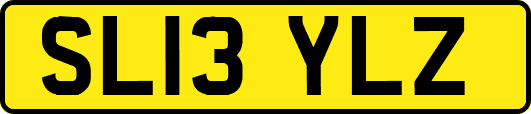 SL13YLZ
