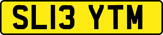 SL13YTM