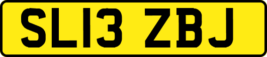 SL13ZBJ