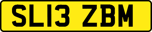 SL13ZBM