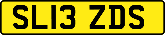 SL13ZDS