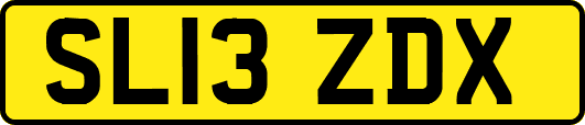 SL13ZDX