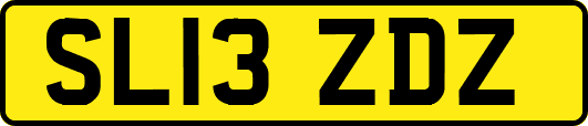 SL13ZDZ