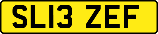 SL13ZEF