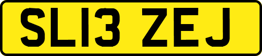 SL13ZEJ