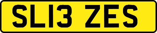 SL13ZES
