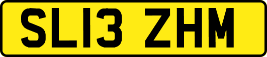 SL13ZHM