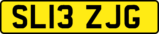 SL13ZJG
