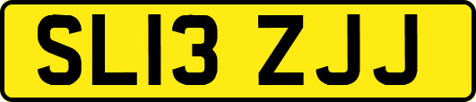 SL13ZJJ