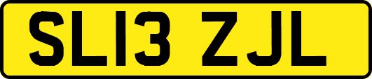 SL13ZJL