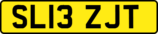 SL13ZJT