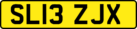 SL13ZJX