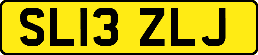 SL13ZLJ