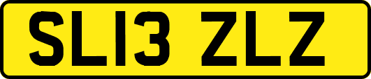 SL13ZLZ