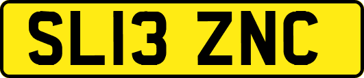 SL13ZNC