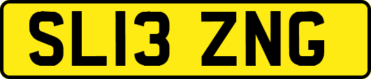 SL13ZNG
