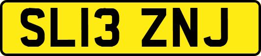 SL13ZNJ