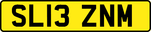 SL13ZNM