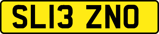 SL13ZNO