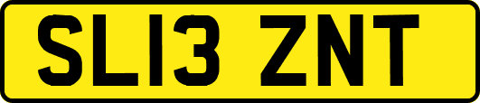 SL13ZNT