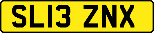 SL13ZNX