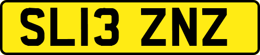 SL13ZNZ