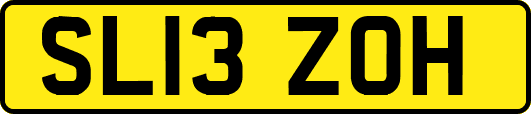 SL13ZOH
