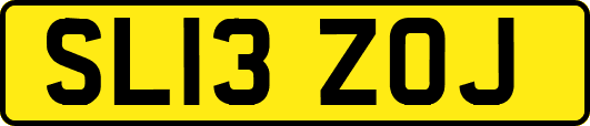 SL13ZOJ