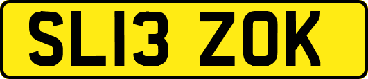 SL13ZOK