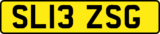 SL13ZSG