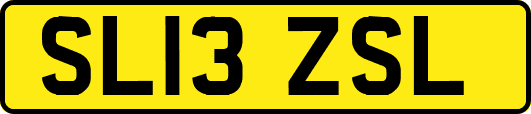 SL13ZSL