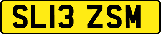 SL13ZSM