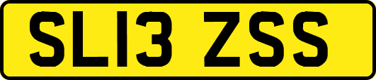 SL13ZSS