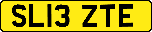SL13ZTE