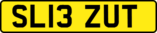 SL13ZUT