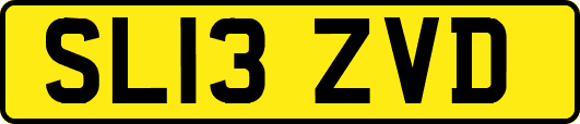 SL13ZVD