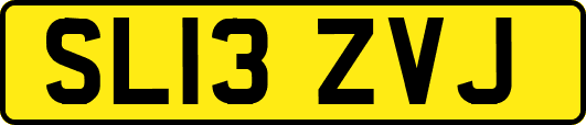SL13ZVJ