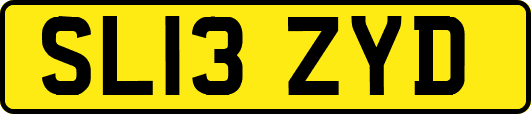 SL13ZYD